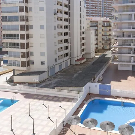 Magnolia, 5-c * Cullera